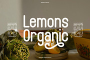 Rizendo - Monoline Font, a Font by Flawless And Co (Thumbnail 7 of 10)
