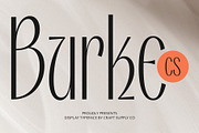 CS Burke – Classic Font, a Sans Serif Font by Craft Supply Co. (Thumbnail 1 of 8)