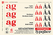 Wolfgar - Serif Font Family, a Serif Font by Artistic & Unique (Thumbnail 4 of 15)