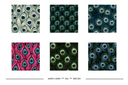 Peacock Feather Animal Print Designs, a Pattern Graphic by karenfoleyphoto (Thumbnail 8 of 11)