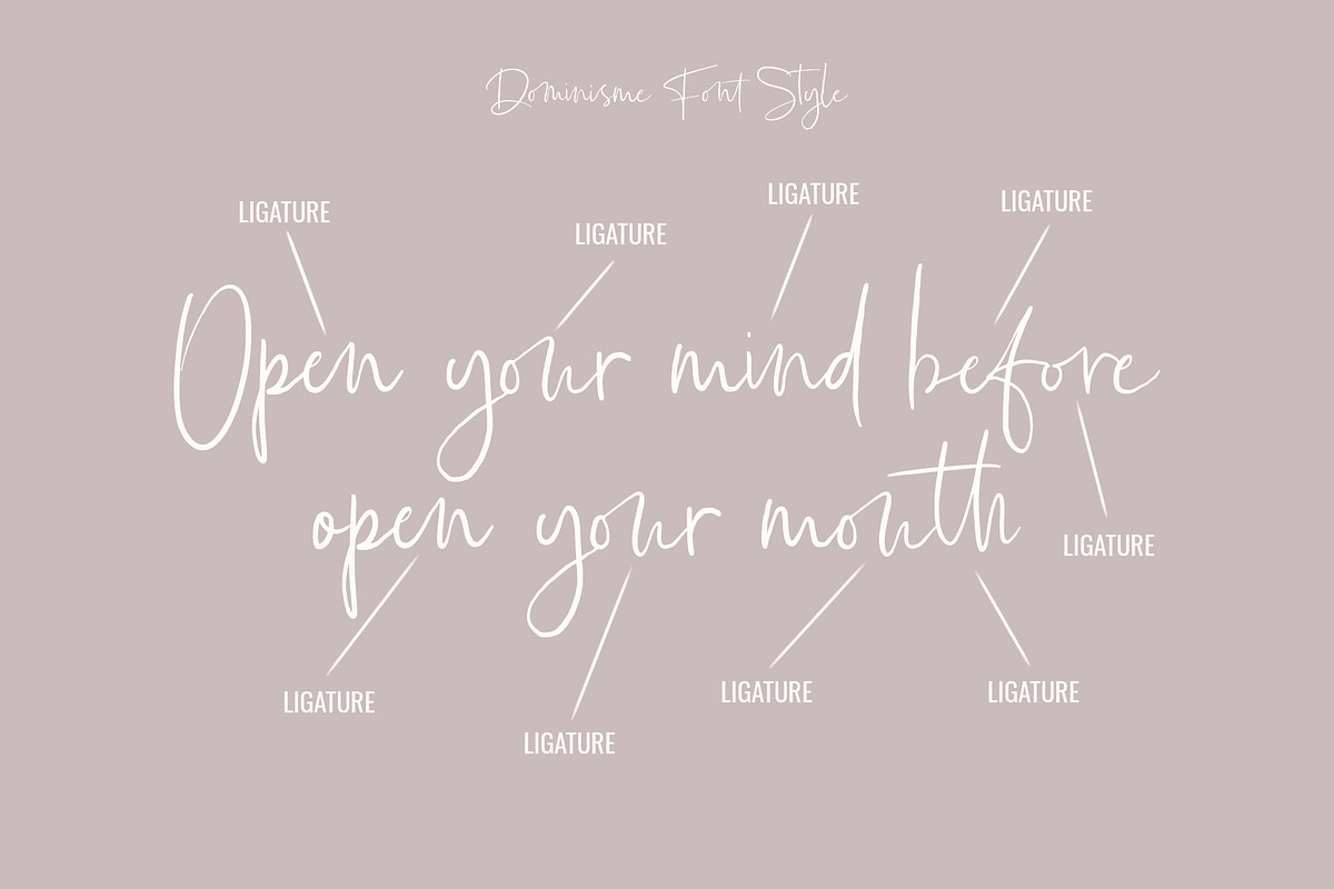 Dominisme Handwritten Font preview 5