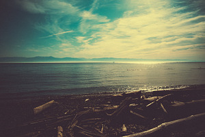 Logs stock photograph
