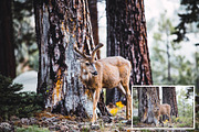 Oneday : Calm Lightroom presets, an Action Add-On by Emyself Design (Thumbnail 5 of 7)