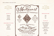 Adorn Collection, a Sans Serif Font by Laura Worthington (Thumbnail 6 of 62)