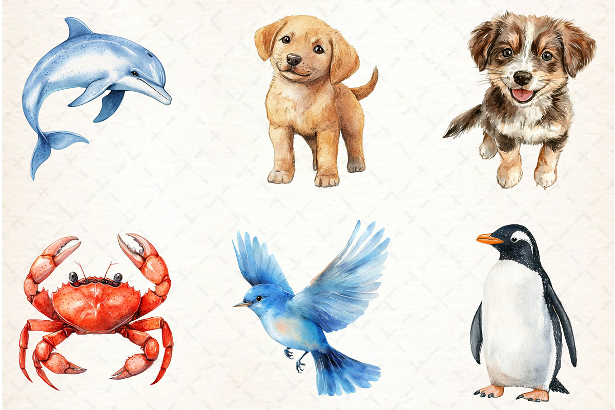 Quirky Humor Animal Sublimation Clip, an Illustration by Libby Wishes (Photo 5 of 6)