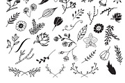 300 Hand Drawn Florals, an Illustration by Designdell (Thumbnail 7 of 7)