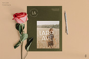 Classy Taylor Typeface, a Serif Font by CCS Type (Thumbnail 7 of 24)