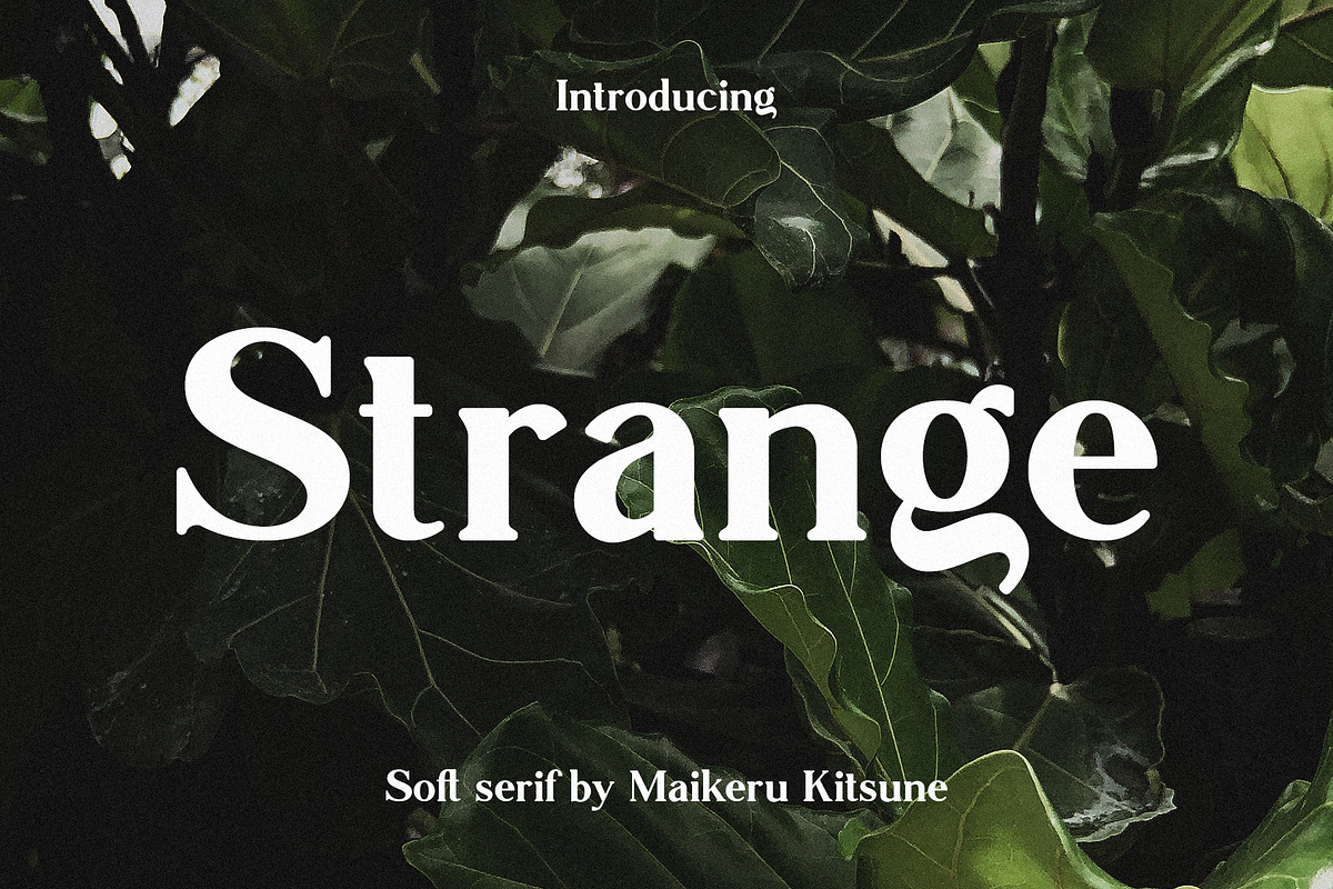 Strange - Soft Serif, a Serif Font by Mikhail Kitsune (Photo 1 of 11)