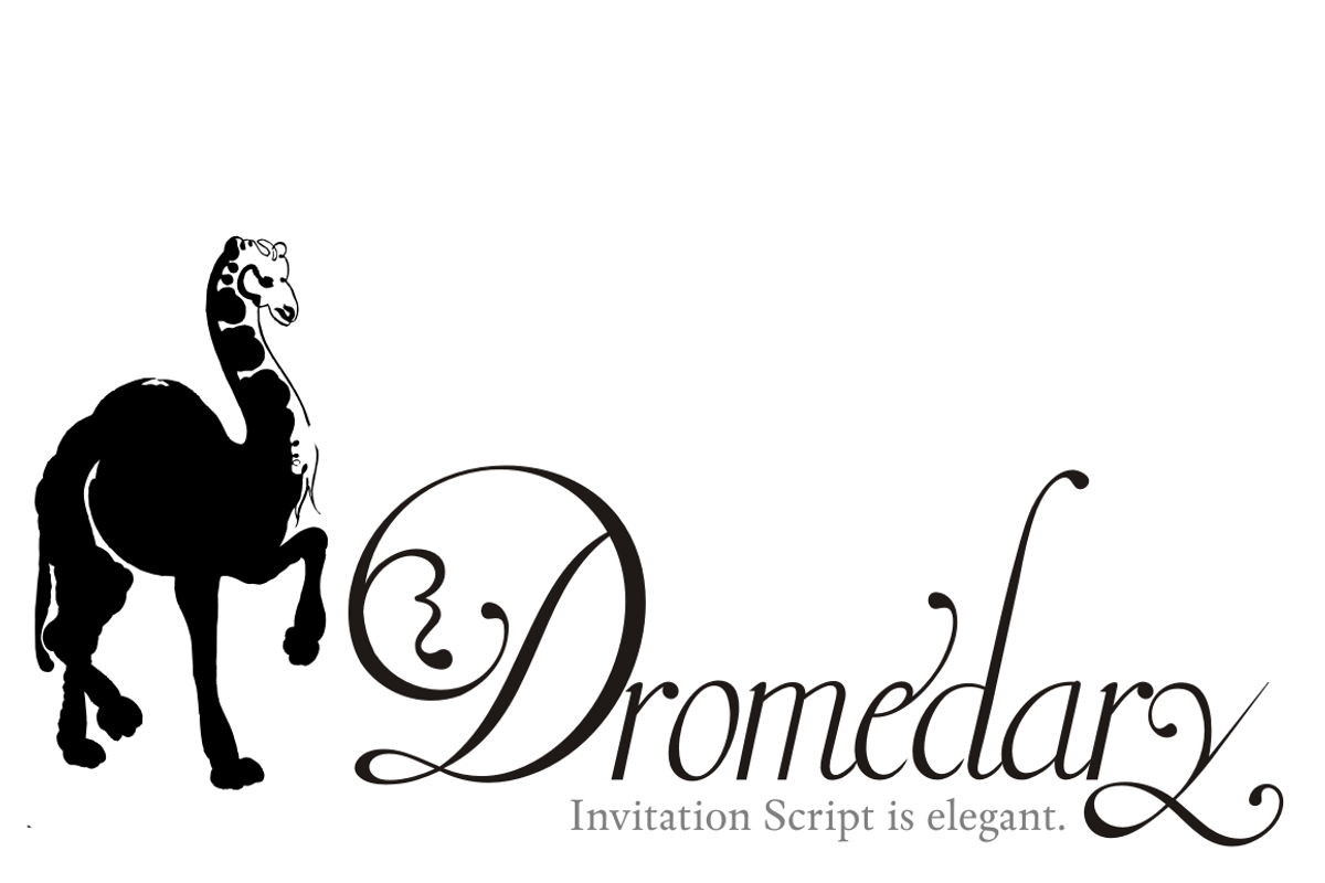 Invitation Script preview 4