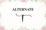 September Christmas | Script Font, a Handwritten Font by Scratchones (Thumbnail 8 of 9)