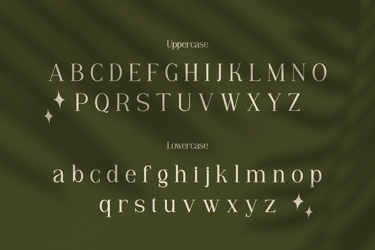 Vianeka -  Modern Luxury Serif Font, a Serif Font by Flawless And Co (Photo 8 of 10)