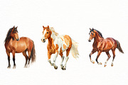 Watercolor Horse Clipart, an Illustration by Designworld (Thumbnail 5 of 8)