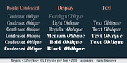 Royalis, a Serif Font by Julien Fincker (Thumbnail 5 of 15)