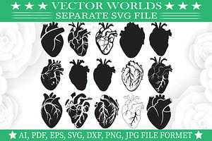 Human Heart Svg, Heart, Human Svg