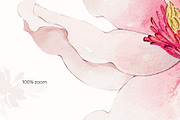 Magnolia watercolor floral set, a Decorative Illustration by Yuliia Lashevska (Thumbnail 3 of 13)