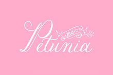 Petunia
