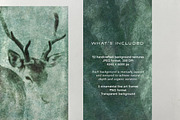 Understory Organic Backgrounds, a Background Graphic by alonahaidash (Thumbnail 3 of 15)
