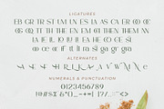 Ammira | A Modern and Elegant Serif, a Serif Font by Andrimada Creative (Thumbnail 2 of 13)