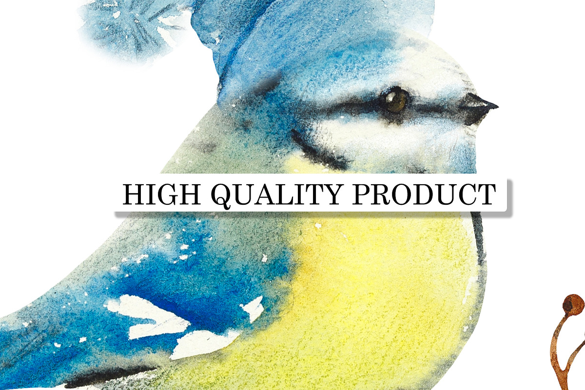 Watercolor Compositions Animals, an Animal Illustration by Budogoshch (Photo 6 of 6)