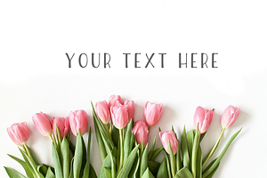 Pink Tulip Floral Stock Photo