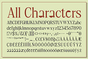CS Brighten – Classic Font, a Serif Font by Craft Supply Co. (Thumbnail 8 of 8)