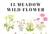 MEADOW FLOWERS: clipart & borders, a Seasonal Illustration by Elliko shop (Thumbnail 2 of 8)