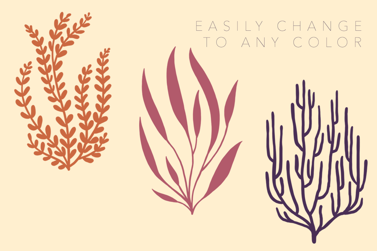 Ocean Plant Silhouettes, an Object Graphic by R.Ewers Designs (Photo 2 of 3)