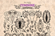 Feminine. Female Reproductive System, a Healthcare Illustration by Ink Stories (Thumbnail 3 of 17)