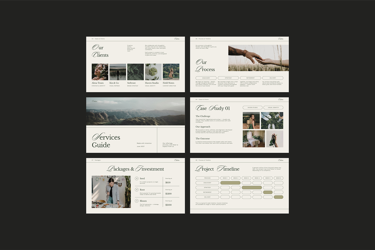 CAELM Services Pricing Guide | CANVA preview 4
