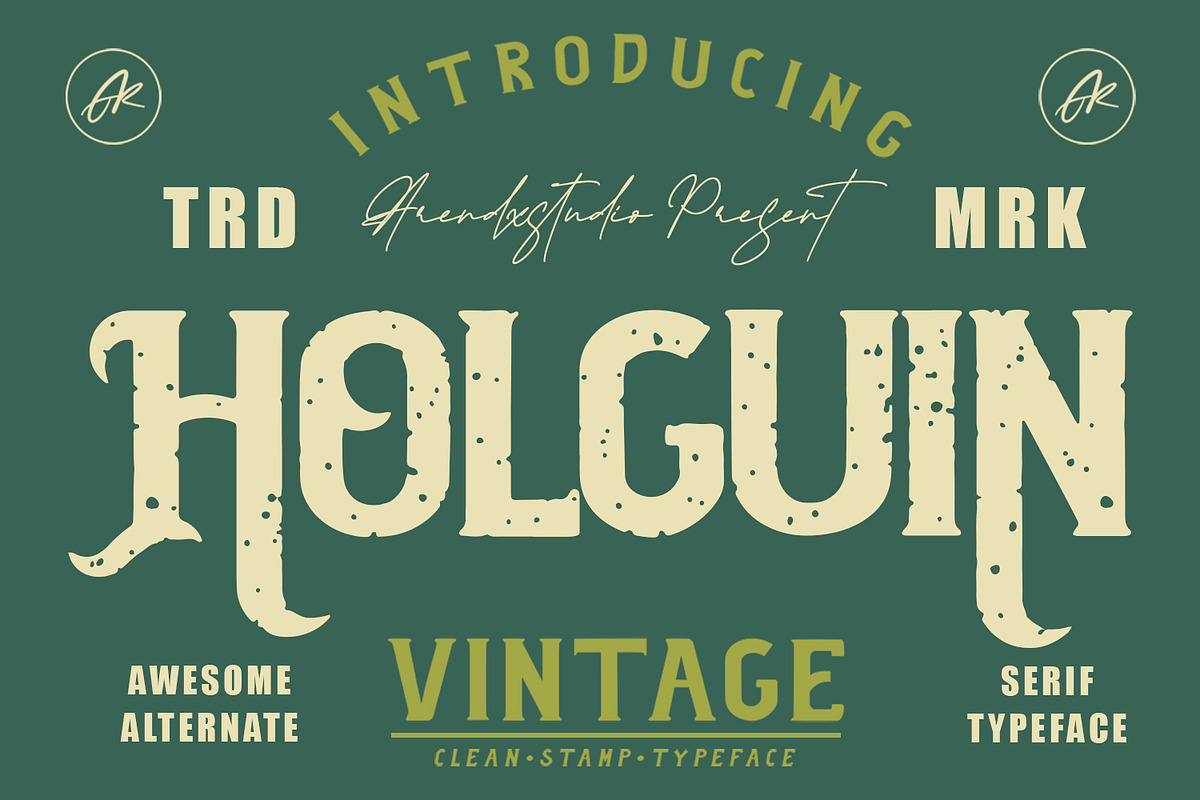 Holguin - Vintage Typeface, a Serif Font by Arendxstudio (Photo 1 of 11)