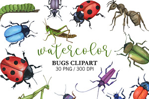 Watercolor Insect Bugs Clip Art