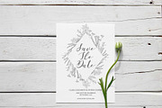 Morning Mist - Herb Collection, a Decorative Illustration by Momo Studio (Thumbnail 13 of 18)