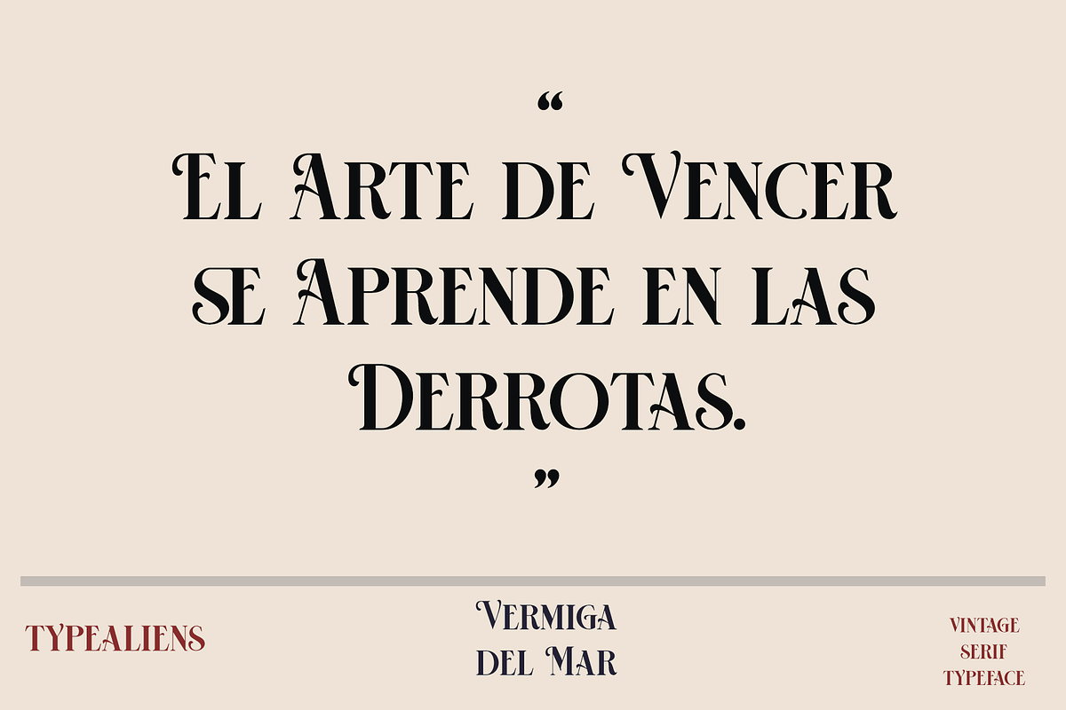 HST - Vermiga del Rose, a Serif Font by ilhamtaro (Photo 4 of 10)