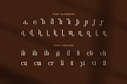 Galina Elegant Serif Font, a Serif Font by Elegant Font (Thumbnail 8 of 8)