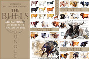 Cattle & Bulls Megabundle: 28 Breeds, an Animal Illustration by FineArt (Thumbnail 1 of 16)