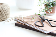 Neutral Collection | Styled Stock, a Business Photo by Chalking Up Stock (Thumbnail 10 of 25)