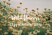 Wild Flowers II, a Templates & Theme by ApertureVintage (Thumbnail 4 of 14)