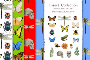 Insect Collection / Pattern Design