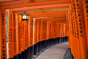 Torii gates in Japan, an Architecture Photo by BOOCYS