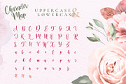 Virgi Ella - Lovely Calligraphy Font, a Script Font by StringLabs (Thumbnail 13 of 13)
