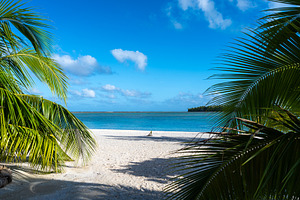 Idyllic motu view from a beach in Tikehau, French Polynesia, a Nature Photo by GoodGoods