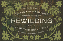 Rewilding