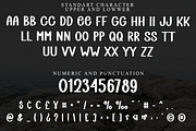 Spring Washer, a Script Font by InermediaSTUDIO (Thumbnail 8 of 8)
