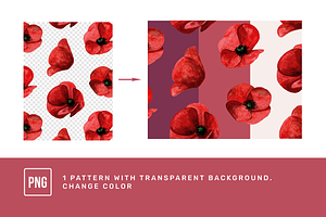 Poppy. Watercolor Floral Clipart