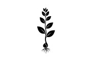 Floral Ornament Silhouette Bundle, an Illustration by BIPLOB EXPERT (Thumbnail 34 of 51)