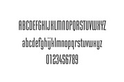 Christinela Sans Serif, a Sans Serif Font by DCD Vector Co. (Thumbnail 6 of 6)
