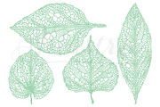Green vein leaves, vector set, an Object Graphic by Illustree (Thumbnail 1 of 2)