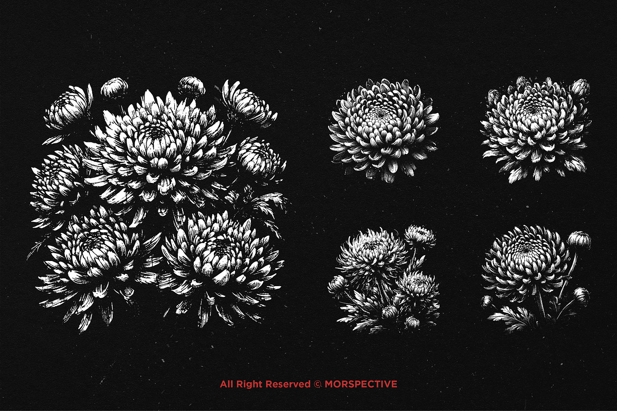 10 Bundle Dark Art Chrysan Flower, an Illustration by Morspective (Photo 5 of 7)