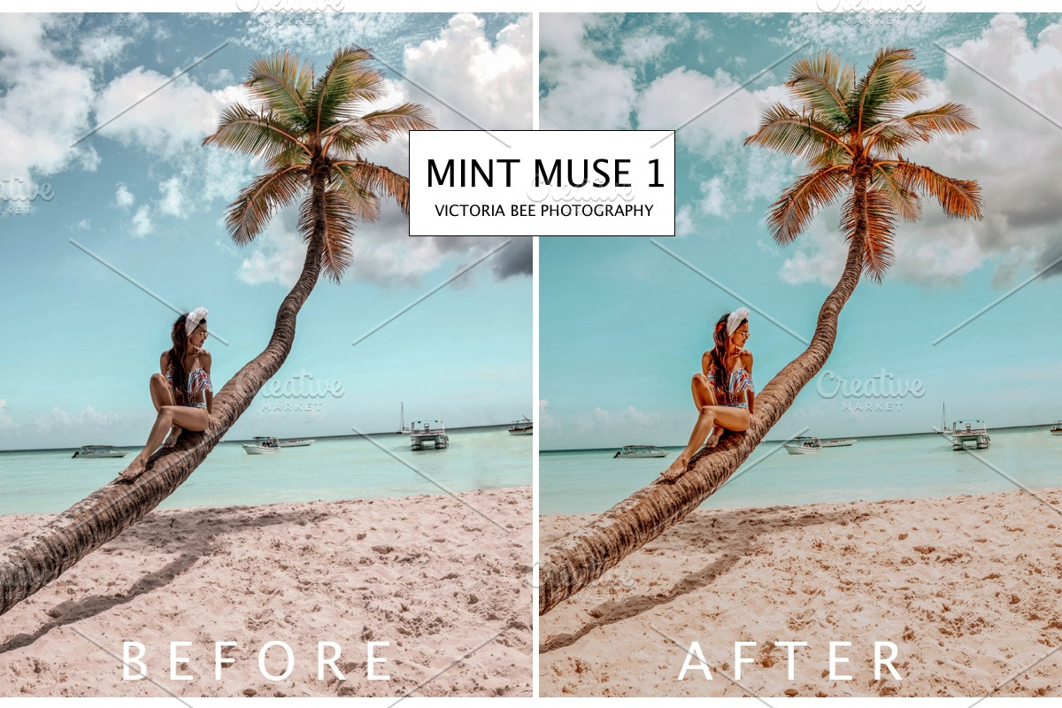 5 Mobile Presets MINT MUSE preview 3