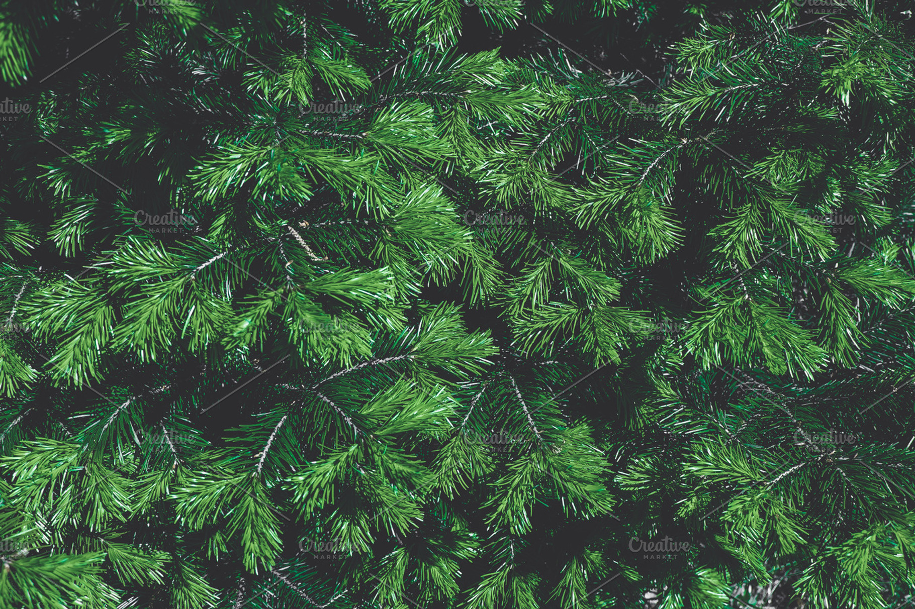 Fir tree branches featuring background, branch, and christmas, an Abstract Photo by Valeryia P.